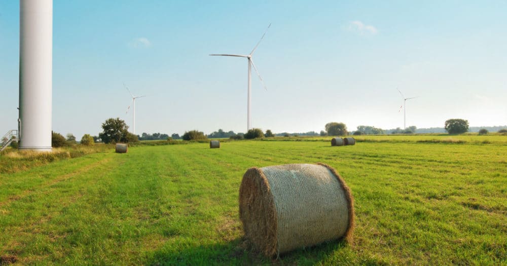 Independent renewable energy producer in the UK, land with a wind turbine, link to the Landowners page